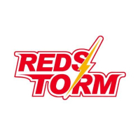 Descuentos de REDSTORM