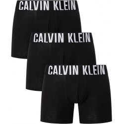 Calvin Klein Intense Power Boxer Briefs 3-Pack | 000NB3609AUB1