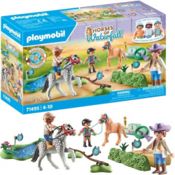 Chollo - PLAYMOBIL Horses of Waterfall Torneo de Ponis | 71495