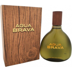 Chollo - Puig Agua Brava Splash EDC 500ml