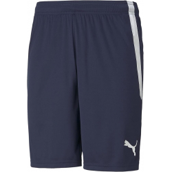 PUMA teamLIGA Football Shorts | 704924-06