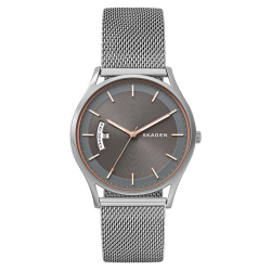 Chollo - Reloj Skagen Holst SKW6396