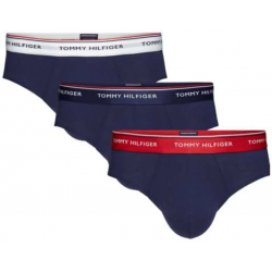 Tommy Hilfiger Cotton Briefs (Pack de 3) | 1U87903766904