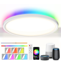 Wilktop LED Ceiling Light